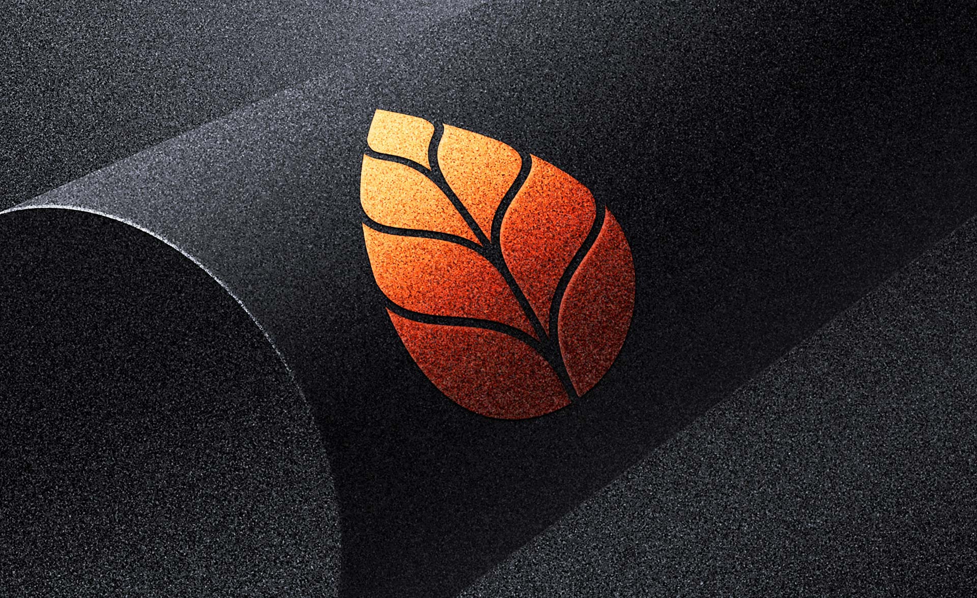 Sunrise Breeze Logo Design